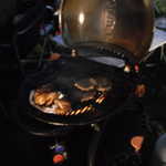 H2H 2011 039