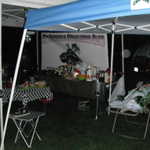 Jimmys picnic 2011 007