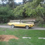Jimmys picnic 2011 053