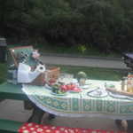 Jimmys picnic 2011 072