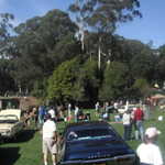 Jimmys picnic 2011 114