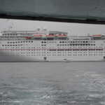 Catlina island and Mexico cruise 2011 070