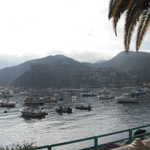 Catlina island and Mexico cruise 2011 086