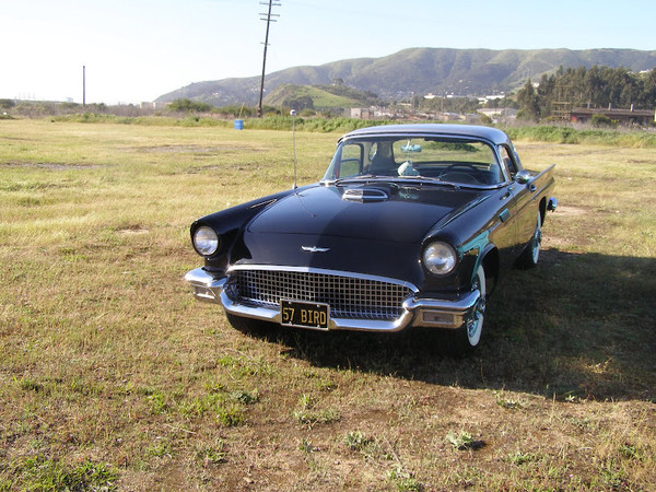 P1010040