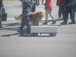 Dream Machines show 2012 085
