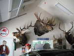 Bunko 2012 022