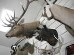 Bunko 2012 024