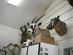 Bunko 2012 025