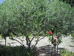 Bunko 2012 042