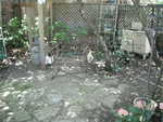 Bunko 2012 073
