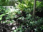 Bunko 2012 074