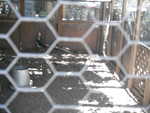 Bunko 2012 078