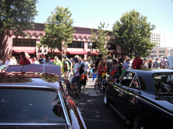 Go For It car show 2012 050