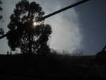 Fire behind my house on July 6th 2012