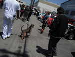Laf-A-Lots car show 2012 041