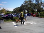 "hemi" Bee man stops by to visit