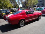 Cool Mustang