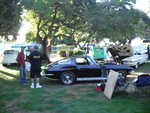 Cars in the park 2012 007