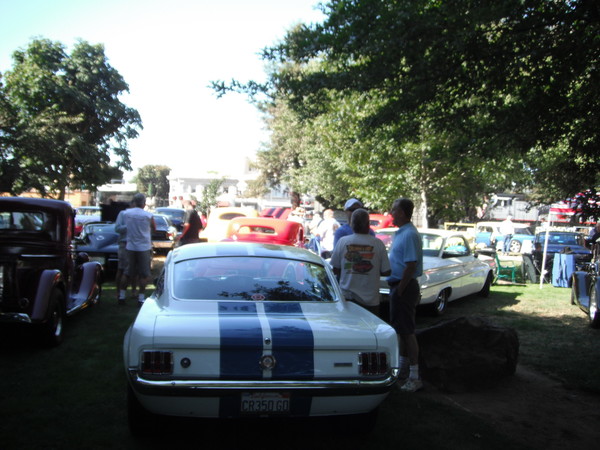 Cars in the park 2012 018