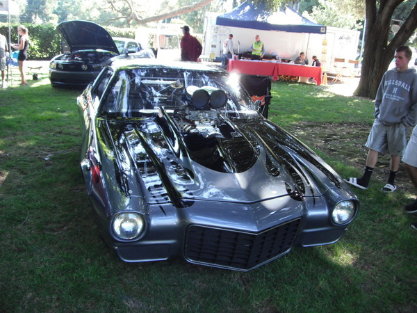 Cars in the park 2012 019