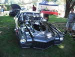 Cars in the park 2012 019