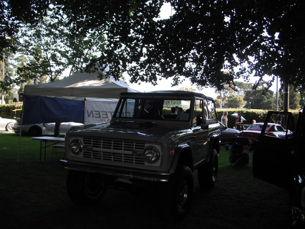 Cars in the park 2012 021