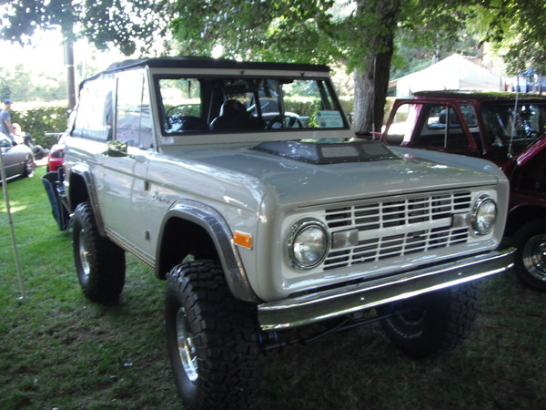 Cars in the park 2012 022
