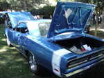 Cars in the park 2012 026