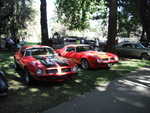 Cars in the park 2012 028