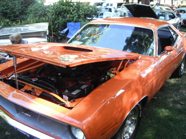 Cars in the park 2012 041