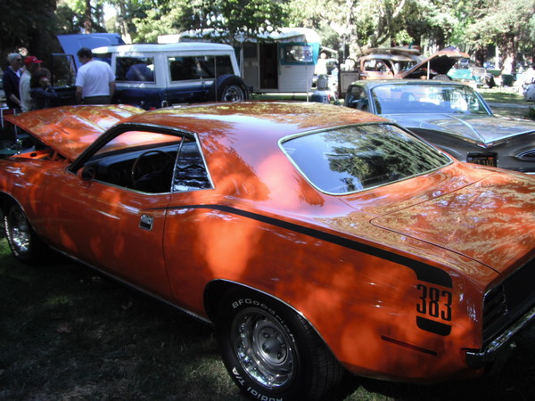 Cars in the park 2012 043