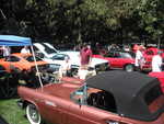 Cars in the park 2012 061