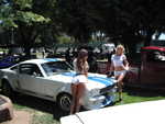 Cars in the park 2012 062