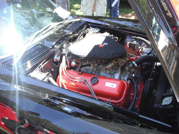 Cars in the park 2012 070