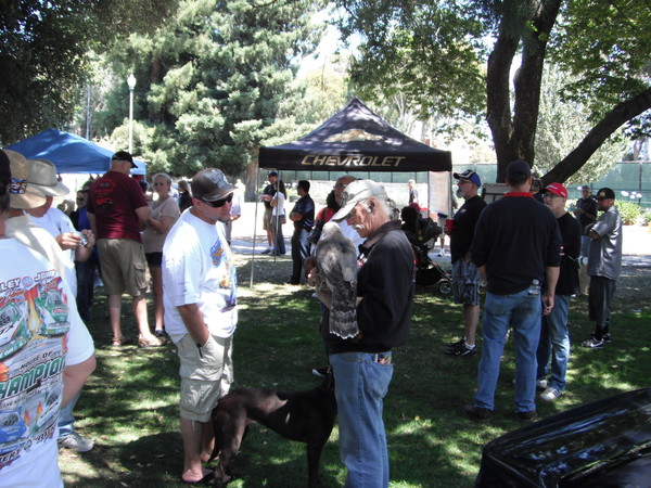 Cars in the park 2012 082