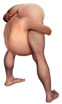 How I see Galen