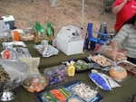 ELCHS reunion picnic 2012 013