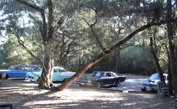 Gearheads picnic 2012 003