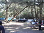 Gearheads picnic 2012 004