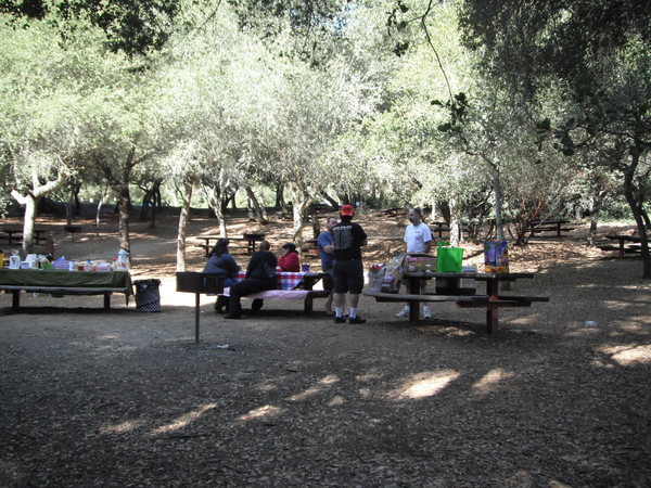 Pretty relaxing day in the park!