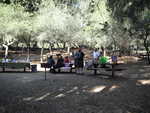 Pretty relaxing day in the park!