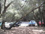 Gearheads picnic 2012 020