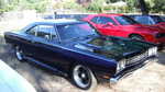 GGSMU picnic 2012 020