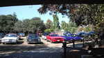 GGSMU picnic 2012 039