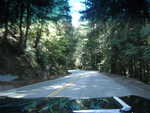 After leaving Alice's we head west to the ocean.