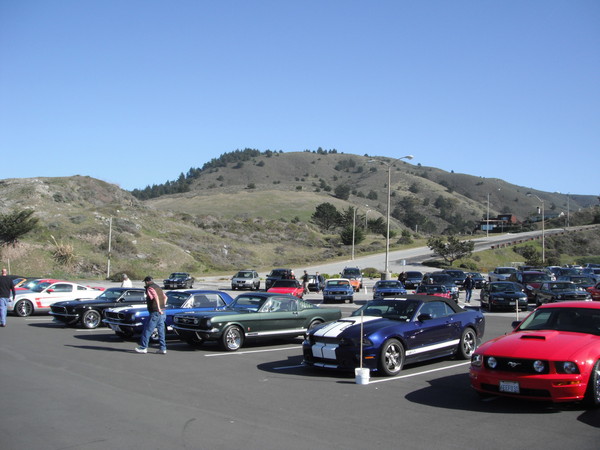 Must be mustang day at the Surf Spot!!