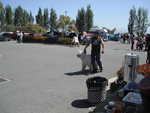 Derrick Ward Memorial car show 2013 177