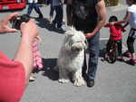Derrick Ward Memorial car show 2013 180