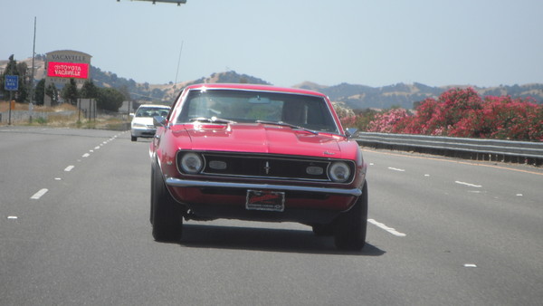 Jackson Car Show 2013 009