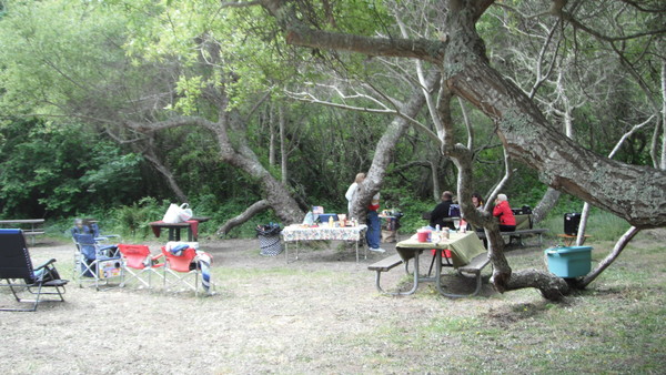 Memorial Day Picnic 2013 009